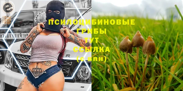 молекула духа Верея